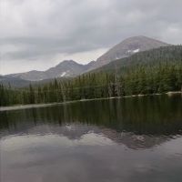 Finch Lake ico