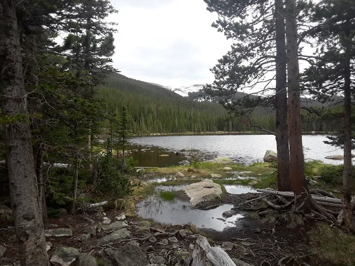 Finch Lake Picture 3