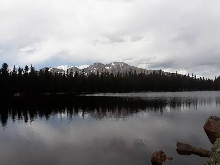 Finch Lake Picture 5