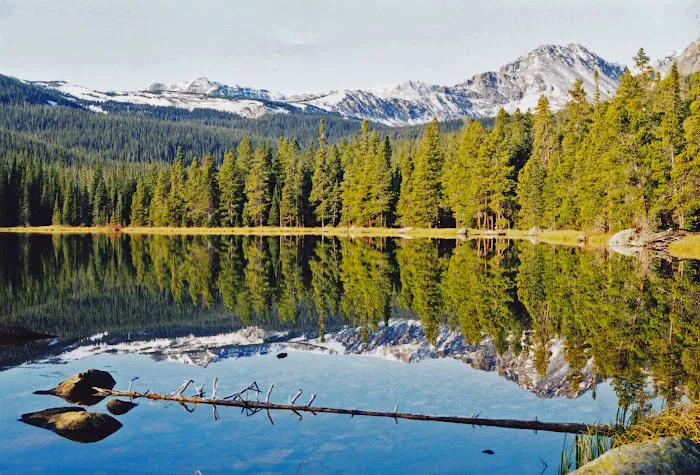 Finch Lake Picture 4