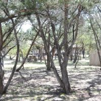 Patriot RV Park - Bertram ico