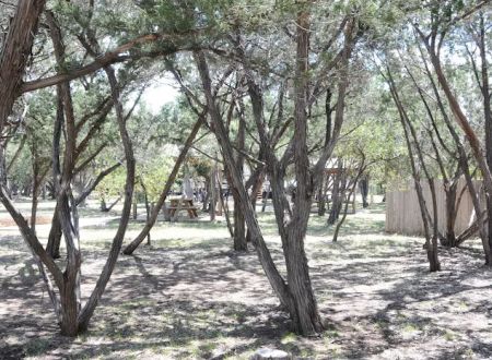 Patriot RV Park - Bertram