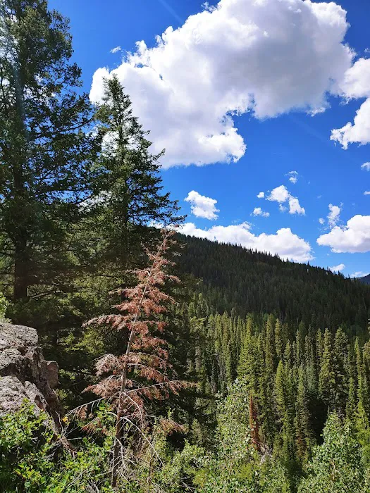 Gore Creek Campground Picture 5