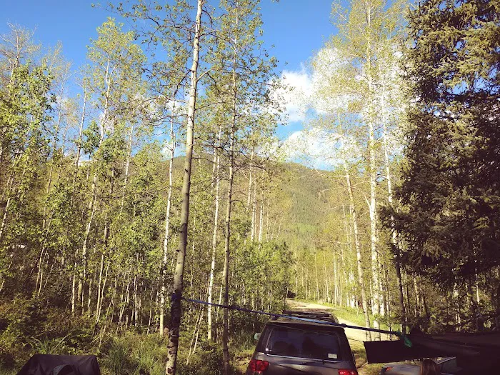 Gore Creek Campground Picture 9