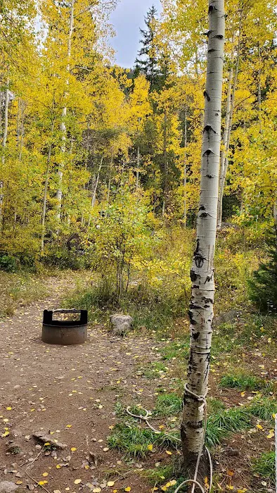 Gore Creek Campground Picture 10