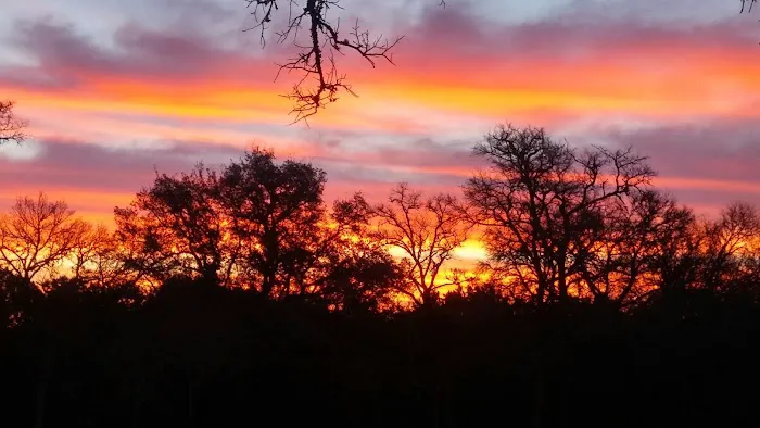 Riverside Oaks RV Ranch Picture 2