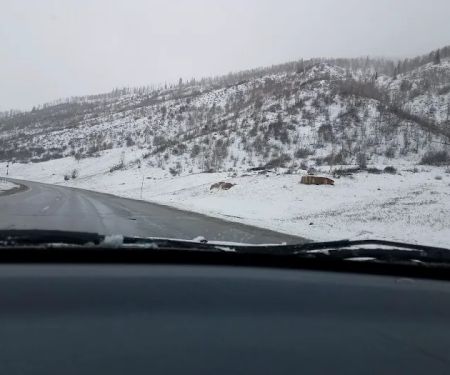 Vail Pass/Tenmile Canyon National Recreation Trail
