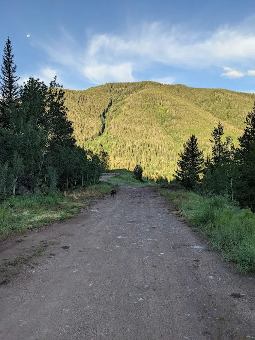 Vail Pass/Tenmile Canyon National Recreation Trail Picture 2
