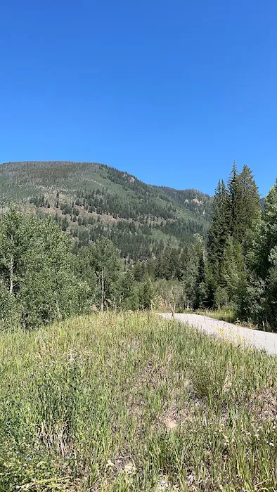Vail Pass/Tenmile Canyon National Recreation Trail Picture 8