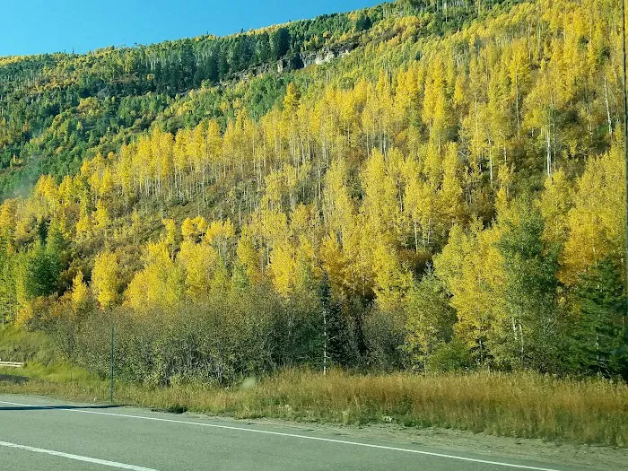 Vail Pass/Tenmile Canyon National Recreation Trail Picture 6