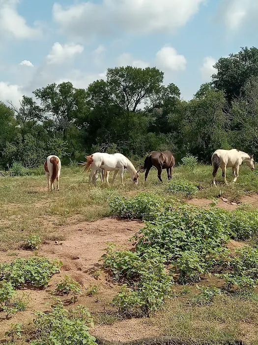 It’s a wendelful life ranch Picture 1