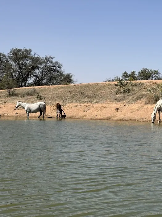 It’s a wendelful life ranch Picture 2
