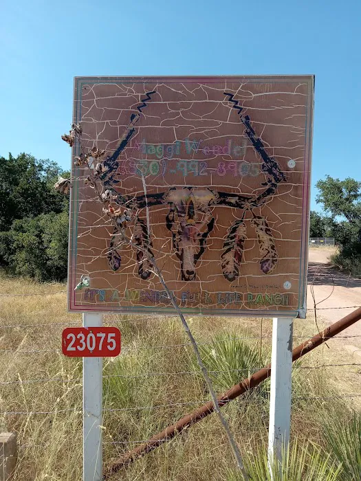 It’s a wendelful life ranch Picture 6