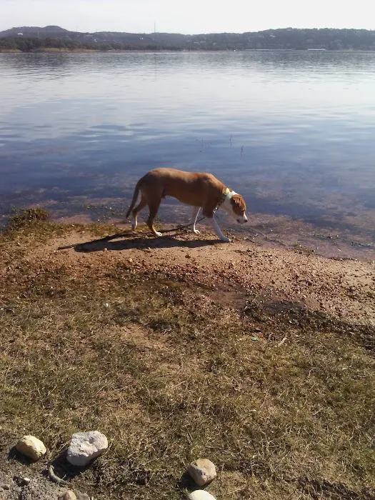 Pace Bend Park - Kate's/Johnson Cove Picture 2