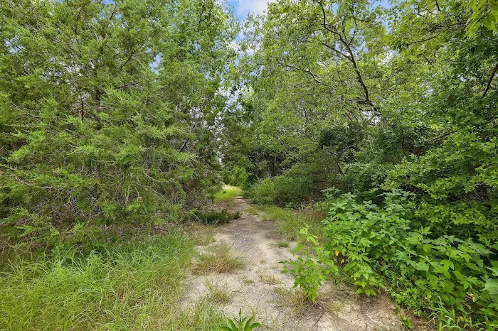 Wilderland Picture 7