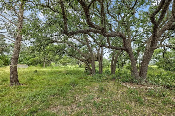 Wilderland Picture 10
