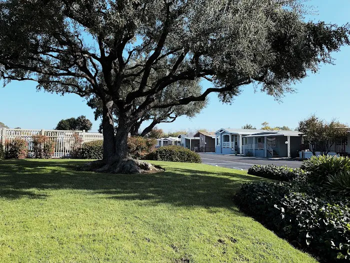 Spanish Cove Mobile Home Park Picture 3