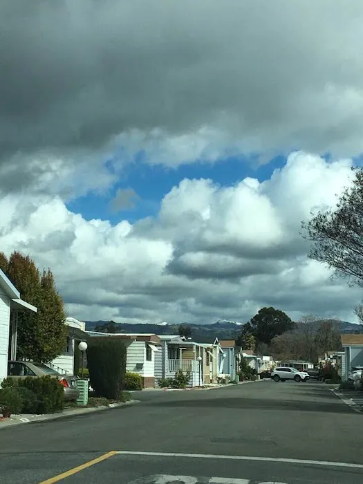 Spanish Cove Mobile Home Park Picture 2