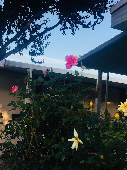 Spanish Cove Mobile Home Park Picture 5