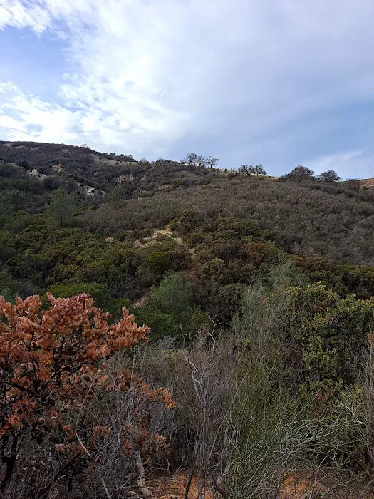 Vista Diablo Mobile Estates Picture 2