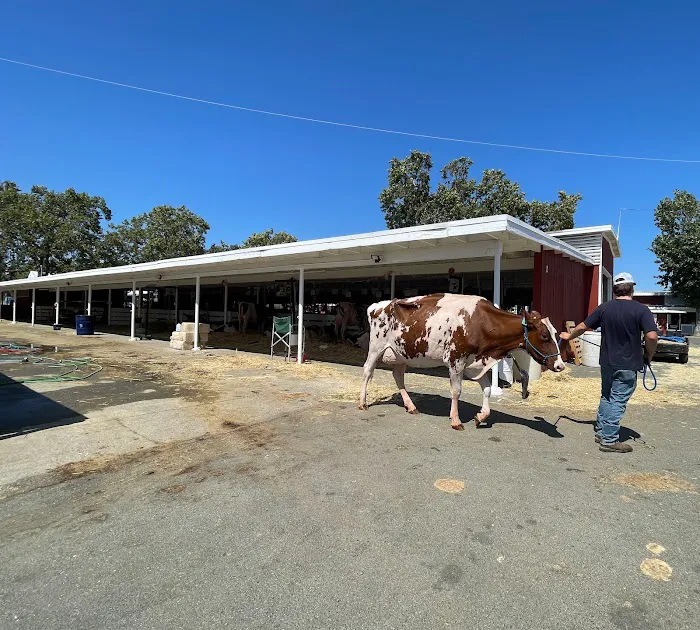 Sonoma County Fairgrounds RV Park Picture 7