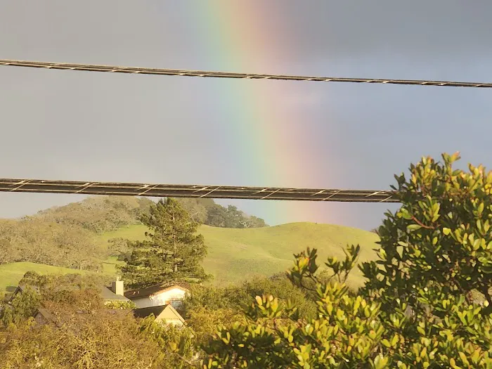 Sonoma County Fairgrounds RV Park Picture 9