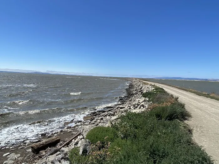 Dumbarton Quarry Campground on the Bay Picture 10