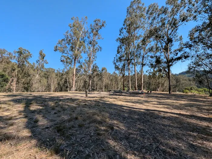 Lookout Ridge Group Camp Picture 2