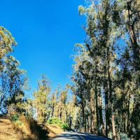 Campground Site 13 ico