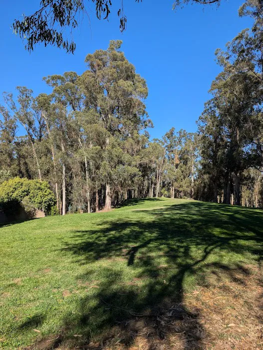 Campground Site 13 Picture 9