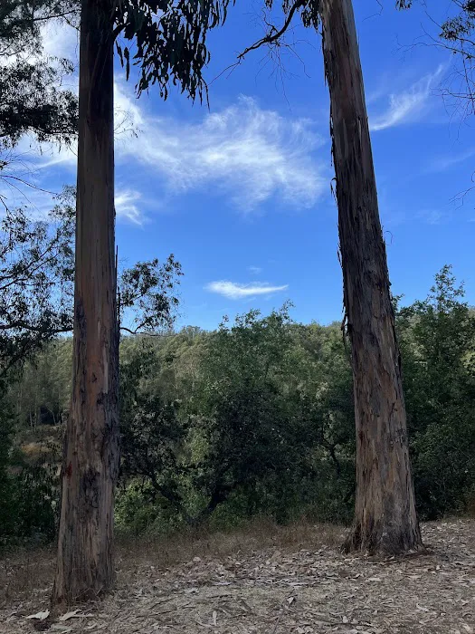 El Venado Campground Picture 1