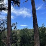 El Venado Campground