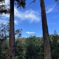 El Venado Campground ico