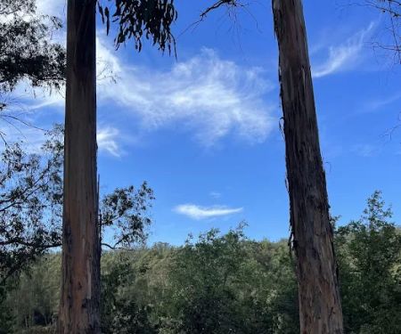 El Venado Campground