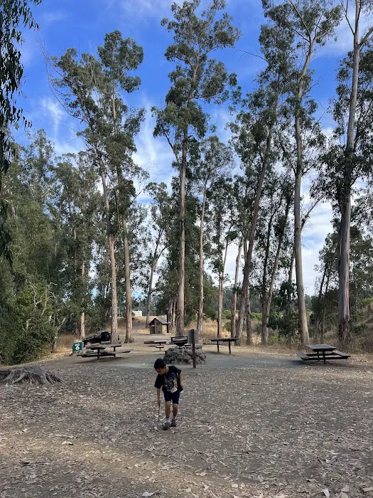 El Venado Campground Picture 2