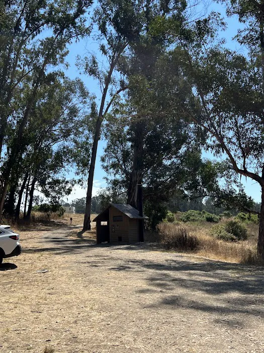 El Venado Campground Picture 3