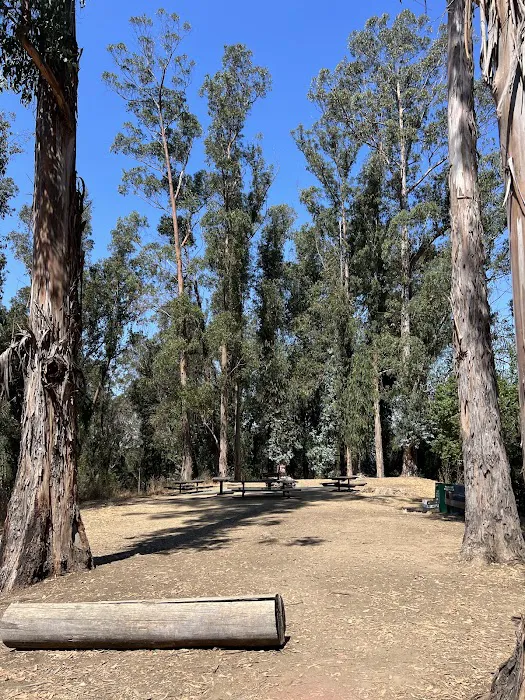 El Venado Campground Picture 5