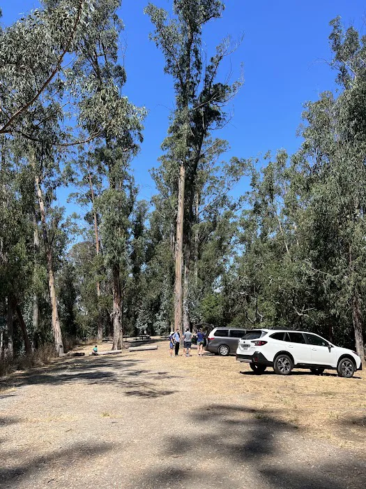 El Venado Campground Picture 4