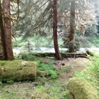 Success Creek ico