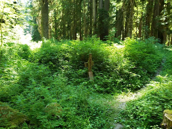 Wilder Picture 3
