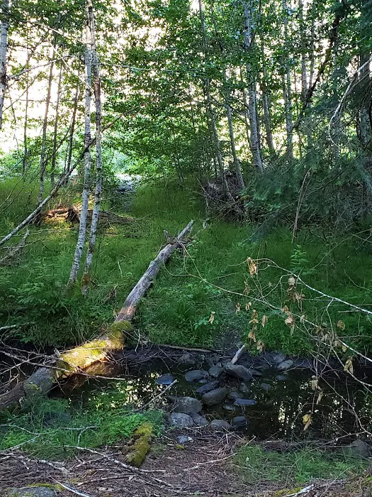 Wilder Picture 5