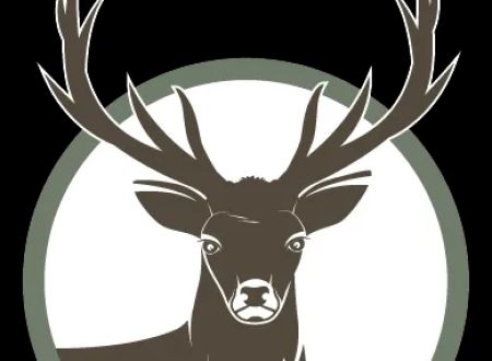 Elk View Ranch