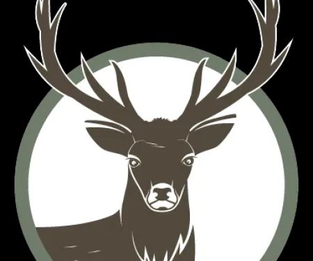 Elk View Ranch