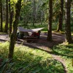 Graves Creek Campground