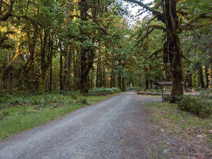 Graves Creek Campground Picture 4