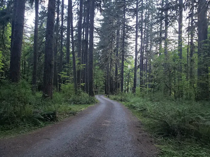 Graves Creek Campground Picture 7