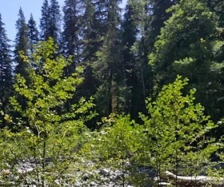 Elip Creek