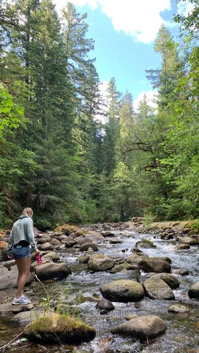North Fork Campground Picture 4