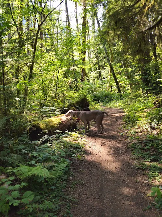 Big Creek Campground Picture 3