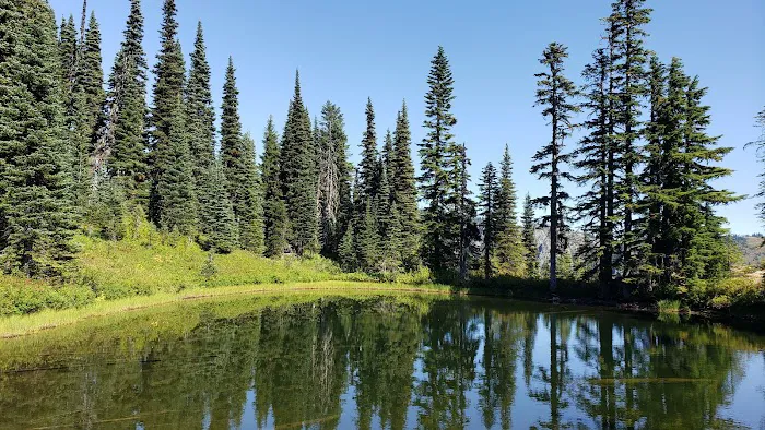 Big Creek Campground Picture 4